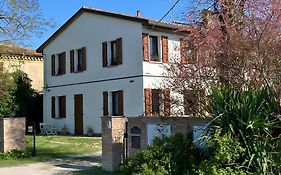I gatti e la Volpe B&B