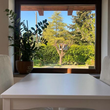 I gatti e la Volpe B&B Budrio  Esterno foto